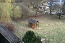 Blick in den Garten